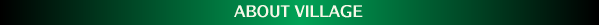 ABOUT VILLAGE